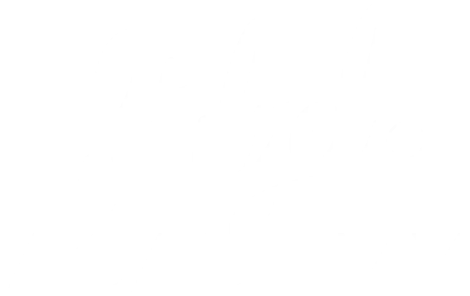 logo stulzel academy blanco